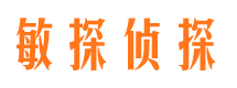 金平市侦探公司